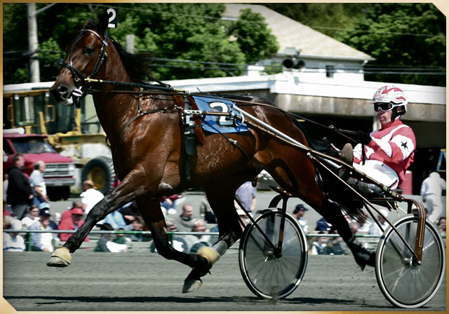 Beissinger Hanover