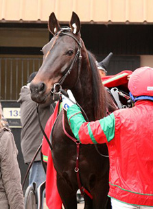 Giuseppe Bi