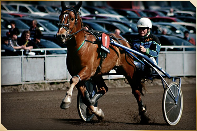 Virin V&auml;iski